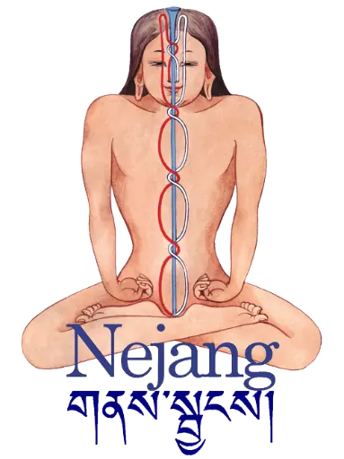 Yoga NeJang